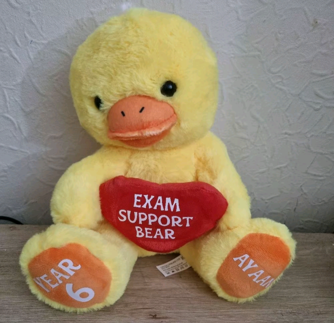 Large Personalised Plush Chick