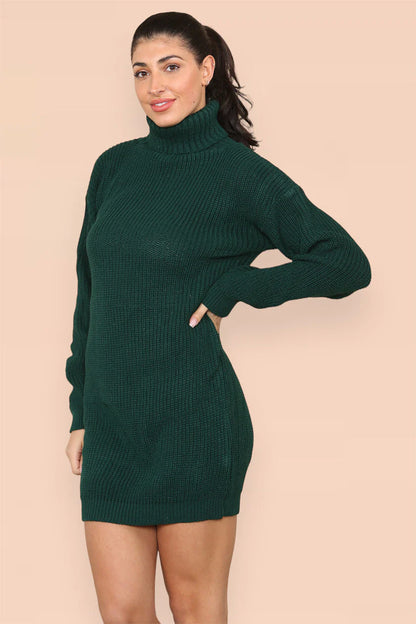 Polo Roll Neck Over Sized Knitted Jumper Dress