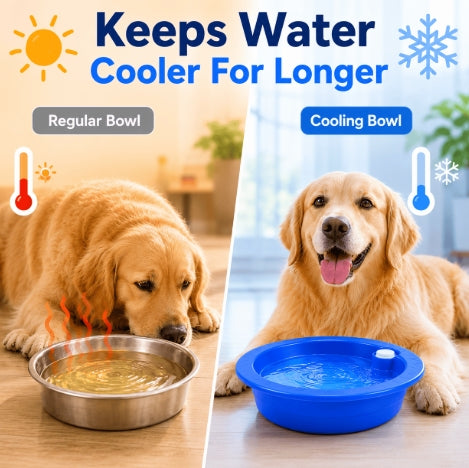 Dog Cat Cooling Bowl