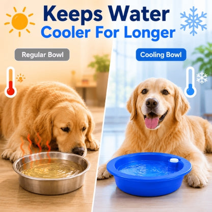 Dog Cat Cooling Bowl