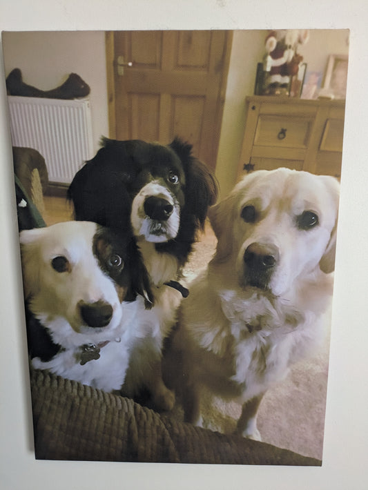 Personalised Ready To Hang Canvas Print